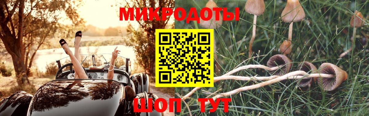 Псилоцибиновые грибы Psilocybe  Вход с VPN  Галлюциногенные грибы Cubensis  Печора 