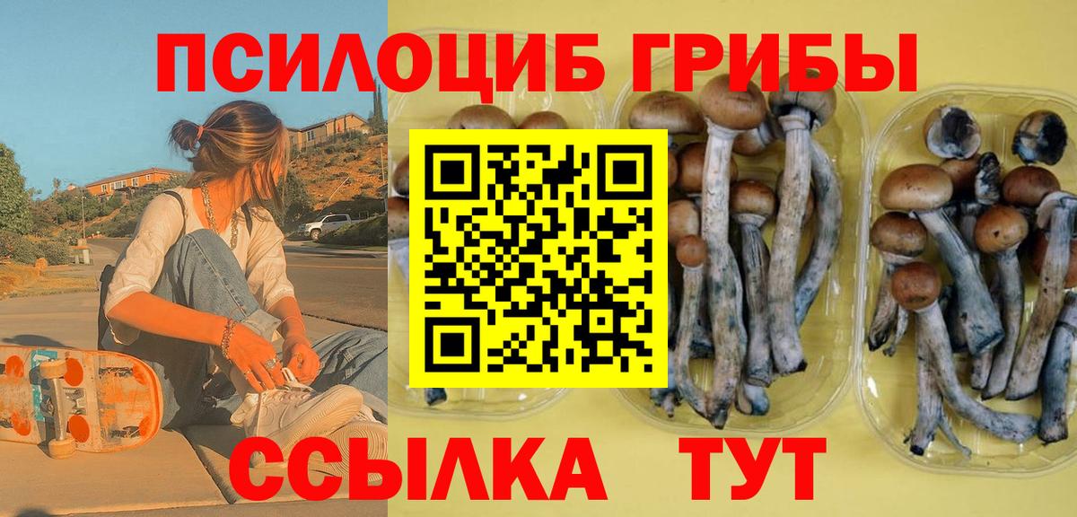 Псилоцибиновые грибы прущие грибы Печора
